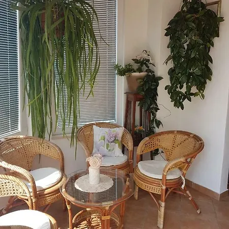 דירה Palmira פולה